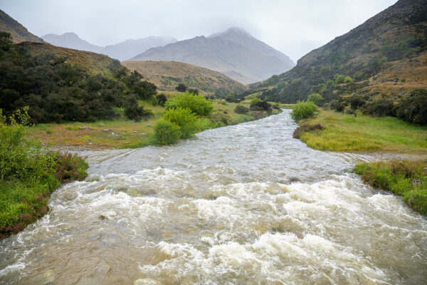 flooding stream NZ
