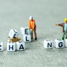 Personal development: The new leadership edge. HSNZ